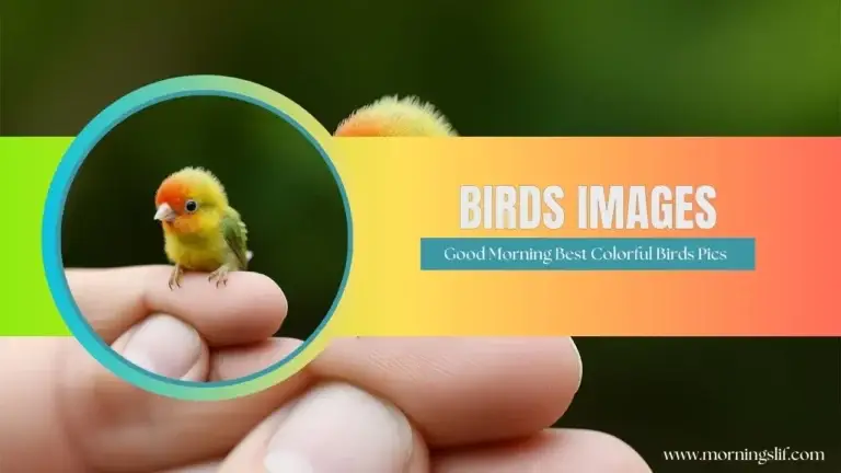 130+ Good Morning Birds Images-Best Colorful Birds Pics 2025 5 130+ Good Morning Birds Images: Best Colorful Birds Pics