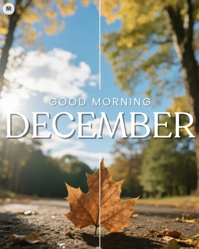 100+ Good Morning December Images ❄️ 10 A dried maple leaf lies on a sunlit path with blurred trees and clouds in the background. Text reads Good Morning December evoking a warm and inviting mood Good Morning December Images