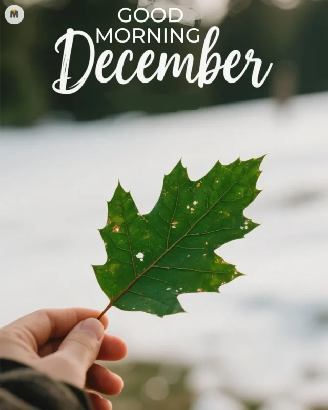 100+ Good Morning December Images ❄️ 11 A hand holds a green leaf with small holes against a blurred snowy background. Above white text reads Good Morning December conveying a wintery mood Good Morning December Images