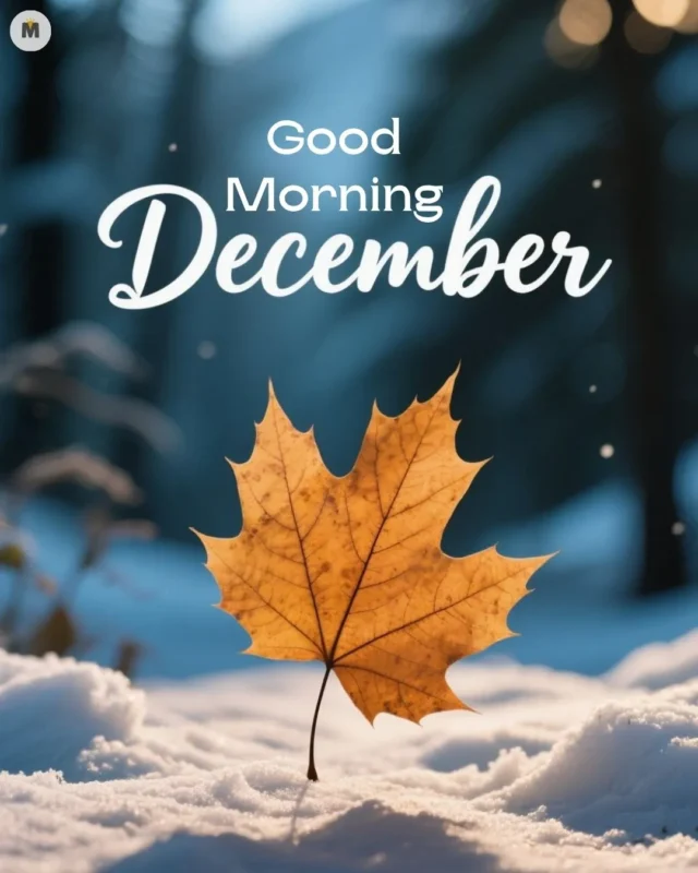 100+ Good Morning December Images ❄️ 7 A single golden leaf stands upright in crisp white snow with a blurred background. Text reads Good Morning December evoking a serene wintery morning Good Morning December Images