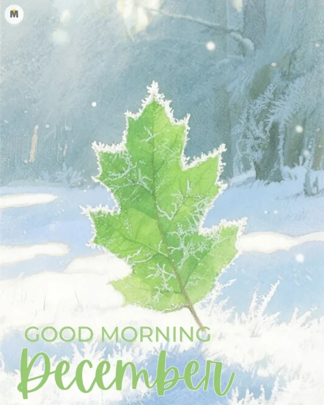100+ Good Morning December Images ❄️ 12 A vibrant green leaf with frosty edges stands against a snowy landscape and frosted trees. The cheerful text reads Good Morning December Good Morning December Images