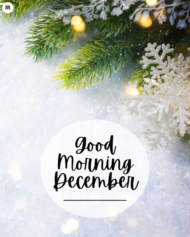 100+ Good Morning December Images ❄️ 14 Festive image featuring green pine branches silver snowflakes and warm lights against a snowy background with Good Morning December in elegant script Good Morning December Images