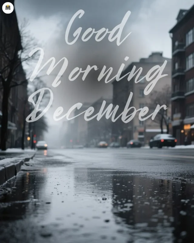 100+ Good Morning December Images ❄️ 26 Gloomy city street with wet pavement reflecting overcast sky. Bare trees and blurred cars in background. Text reads Good Morning December Good Morning December Images