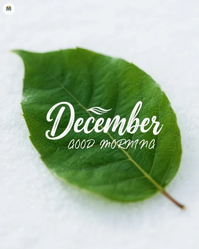 100+ Good Morning December Images ❄️ 13 Green leaf on snow with December Good Morning text overlay. The vibrant leaf contrasts with the snow conveying freshness and a wintery morning Good Morning December Images