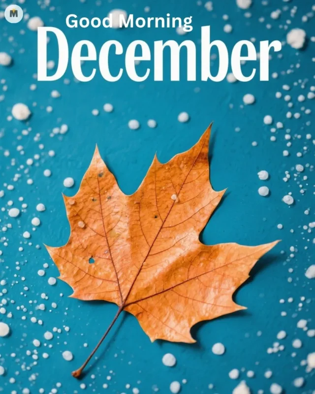 100+ Good Morning December Images ❄️ 9 Orange maple leaf on a blue background surrounded by white speckles. Text reads Good Morning December conveying a seasonal and festive tone Good Morning December Images