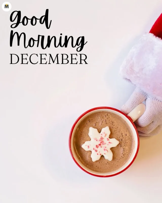 100+ Good Morning December Images ❄️ 19 Santa glove holds a red mug of hot chocolate with a snowflake shaped marshmallow. Text reads Good Morning December on a white background. Cozy festive Good Morning December Images