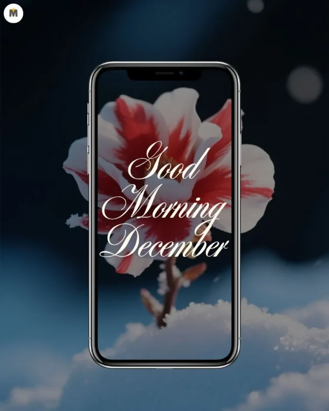 100+ Good Morning December Images ❄️ 30 Smartphone displaying Good Morning December text over a close up of a red and white flower. Snowy background evoking a serene wintery feel Good Morning December Images