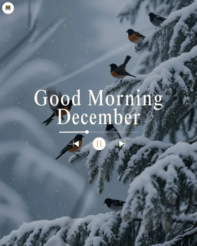 100+ Good Morning December Images ❄️ 31 Snow covered evergreen branches with perched birds against a soft wintry background. Text reads Good Morning December with music controls visible Good Morning December Images