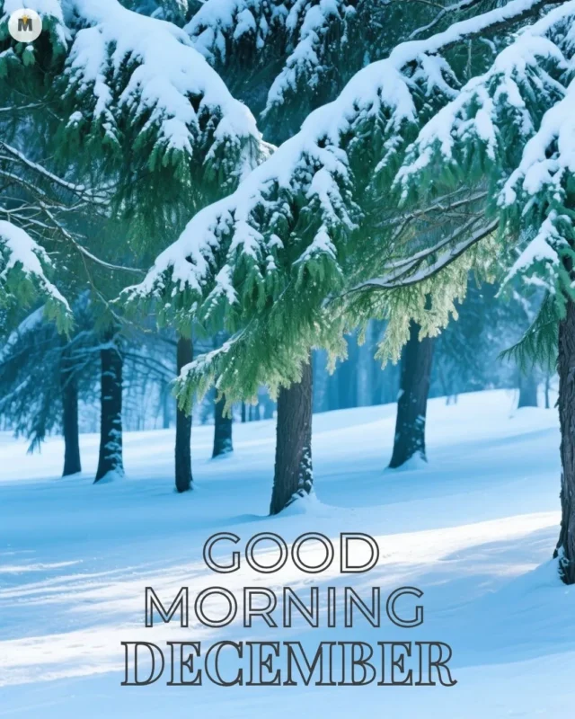 100+ Good Morning December Images ❄️ 15 Snow covered evergreen trees in a serene winter forest soft blue hues with Good Morning December text conveying a peaceful festive mood Good Morning December Images