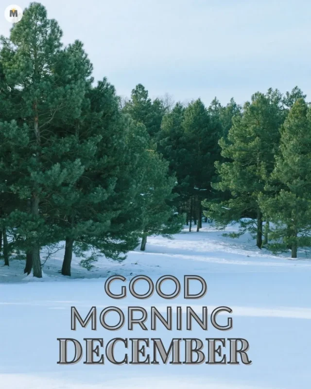 100+ Good Morning December Images ❄️ 16 Snow covered landscape with evergreen trees under a clear sky. Text says Good Morning December. The scene feels peaceful and crisp Good Morning December Images