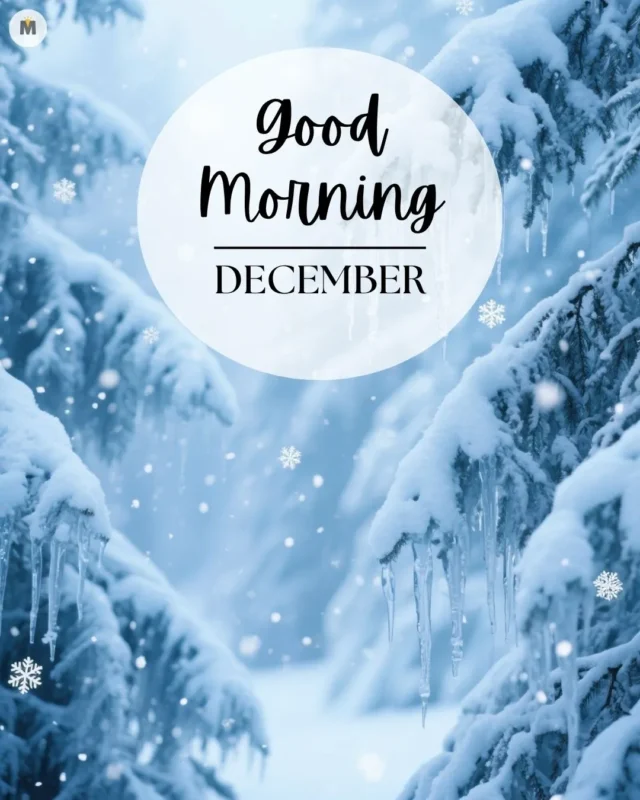 100+ Good Morning December Images ❄️ 1 Snow covered trees with icicles create a wintery scene. A white circle overlay reads Good Morning December. Snowflakes gently fall around Good Morning December Images