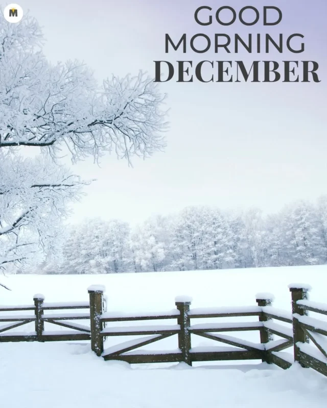 100+ Good Morning December Images ❄️ 20 Snowy landscape with a wooden fence and frost covered trees. Text reads Good Morning December in dark letters. Calm and serene winter scene Good Morning December Images