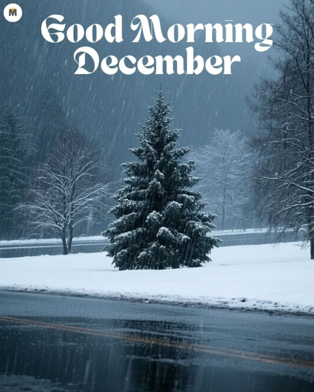 100+ Good Morning December Images ❄️ 27 Snowy winter scene with a lone evergreen tree covered in snowflakes by a snow dusted road. Text reads Good Morning December in bold white. Peaceful and cold Good Morning December Images