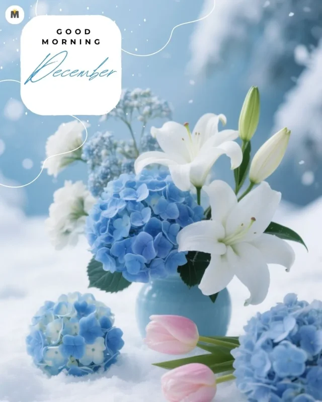 100+ Good Morning December Images ❄️ 48 Vase of blue hydrangeas and white lilies in the snow with pink tulips beside. Good Morning December text. Calm serene winter scene Good Morning December Images