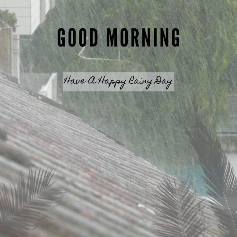 100+ Good Morning Rain Images: Best Rain images Collection 81 80 1 Good Morning Rain Images