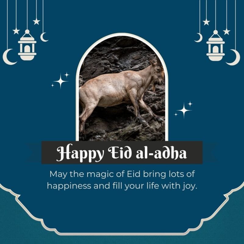 Happy Eid Ul Adha Mubarak Wishes Images - Best Eid Ul Adha 2025 12 May the magic of Eid bring lots of happiness and fill your life with joy. Eid Mubarak!
