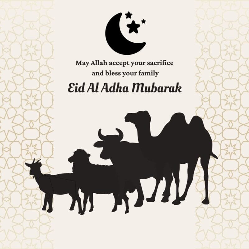 100+ Bakra Eid Mubarak Images: Best Bakra Eid 2025 Collection 101 37 1 Bakra Eid Mubarak Images