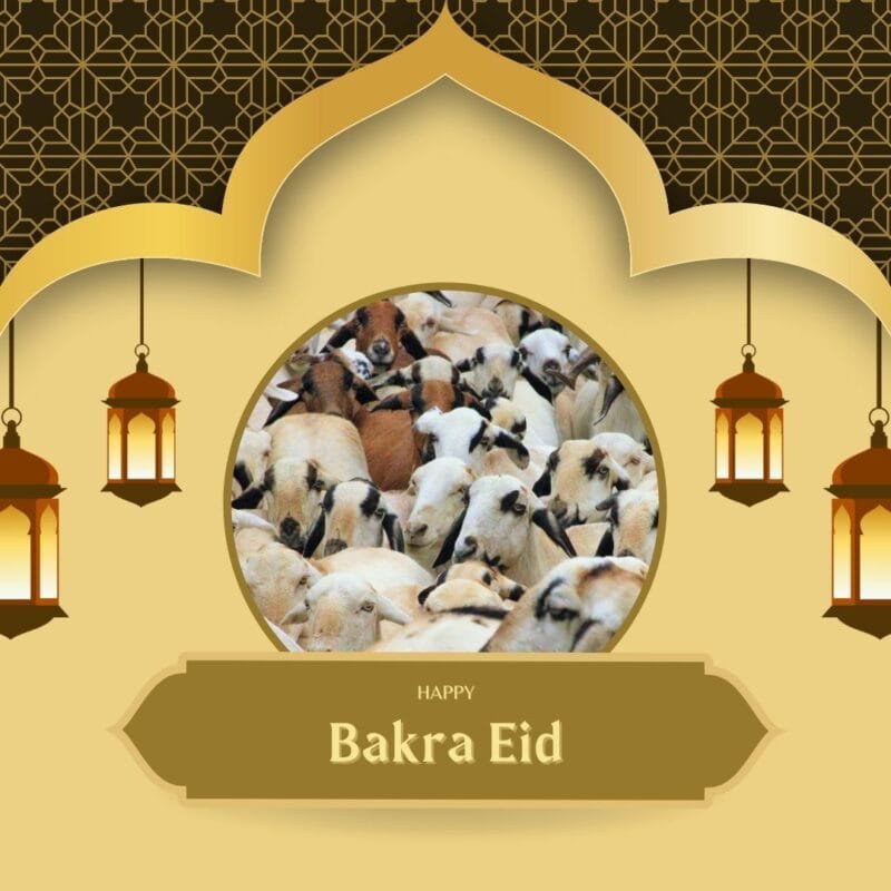 100+ Bakra Eid Mubarak Images: Best Bakra Eid 2025 Collection 39 38 Bakra Eid Mubarak Images