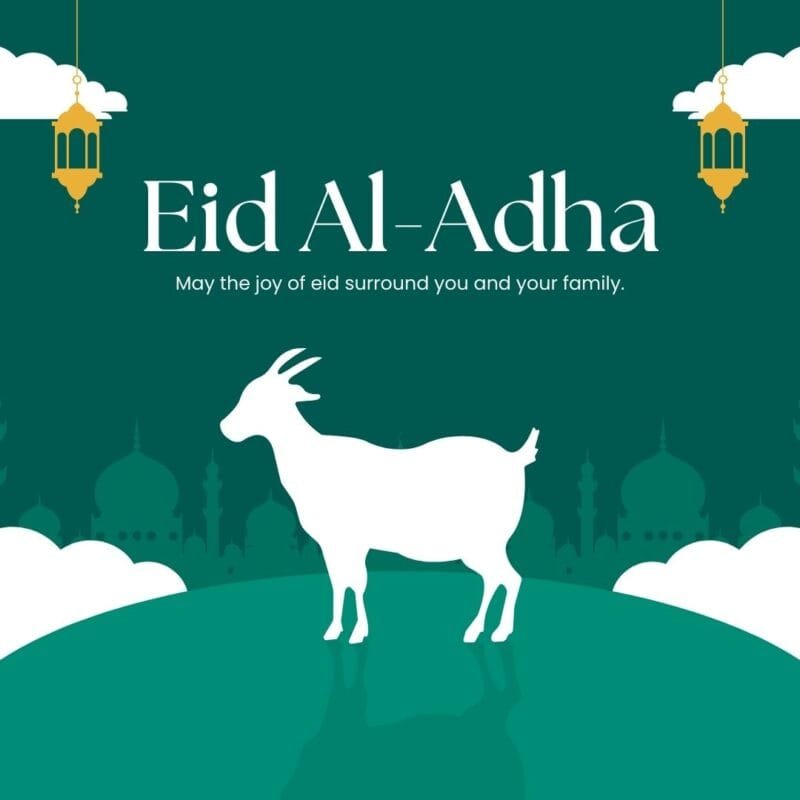 100+ Bakra Eid Mubarak Images: Best Bakra Eid 2025 Collection 68 4 2 Bakra Eid Mubarak Images