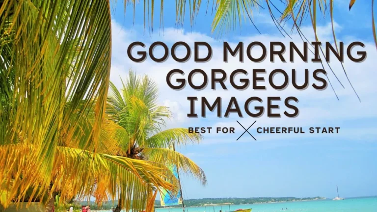 100+ Good Morning Gorgeous Images: Best For Cheerful Start 9 100+ Good Morning Gorgeous Images: Best For Cheerful Start