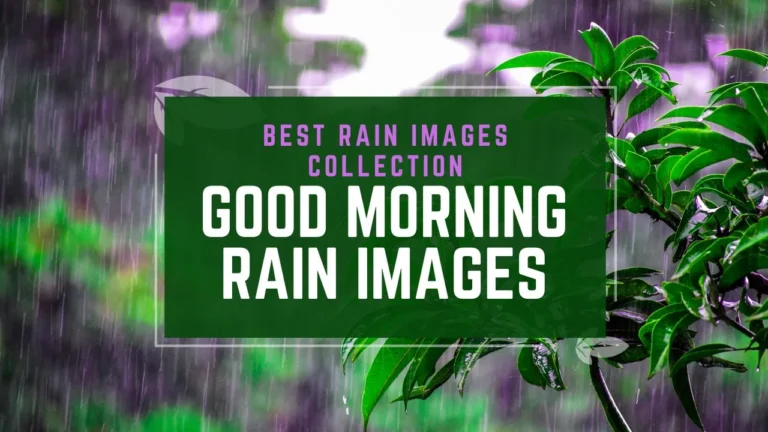 100+ Good Morning Rain Images: Best Rain images Collection 1 100+ Good Morning Rain Images: Best Rain images Collection