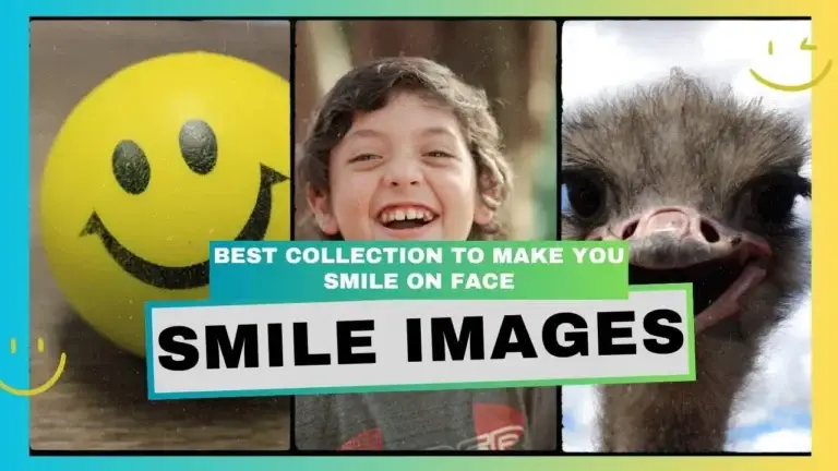150 Smile Images Best Collection to Make You Smile On Face 7 Smile Images