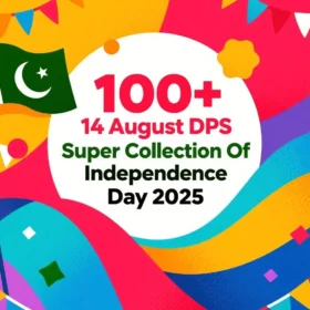 100+ 14 August DPs Super Collection Of Independence Day 2025