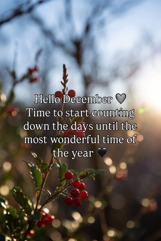download 2025 12 06T082829.559 1 Hello December Images