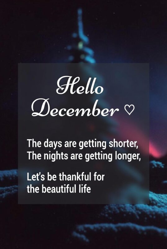 download 2025 12 06T083101.039 Hello December Images