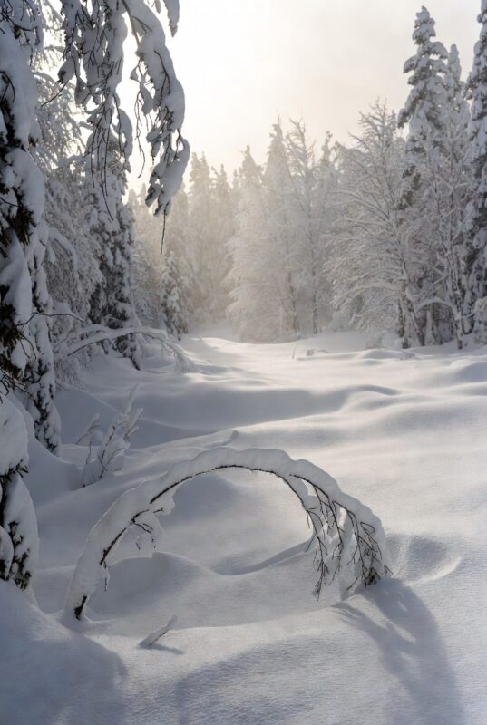 download 2025 12 06T095804.204 Snow Images