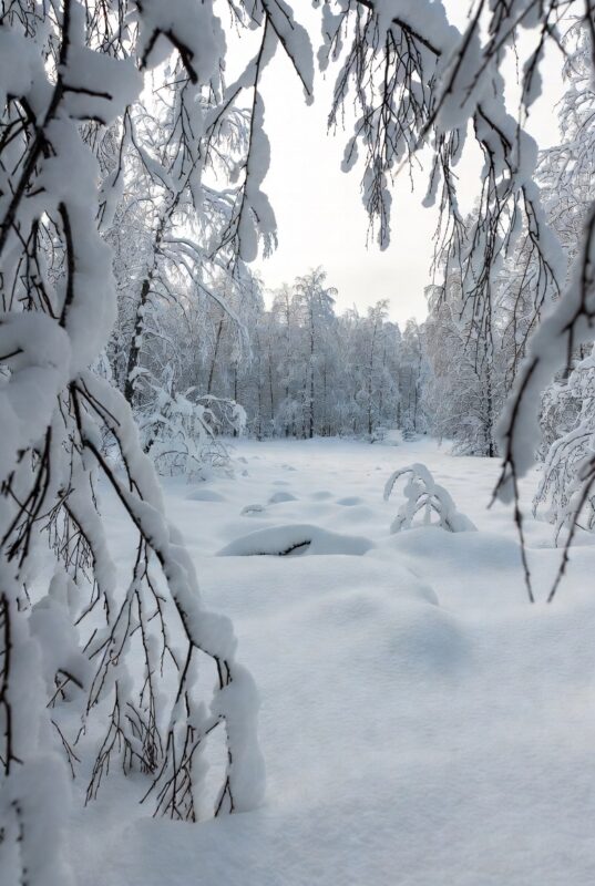 download 2025 12 06T095839.820 Snow Images