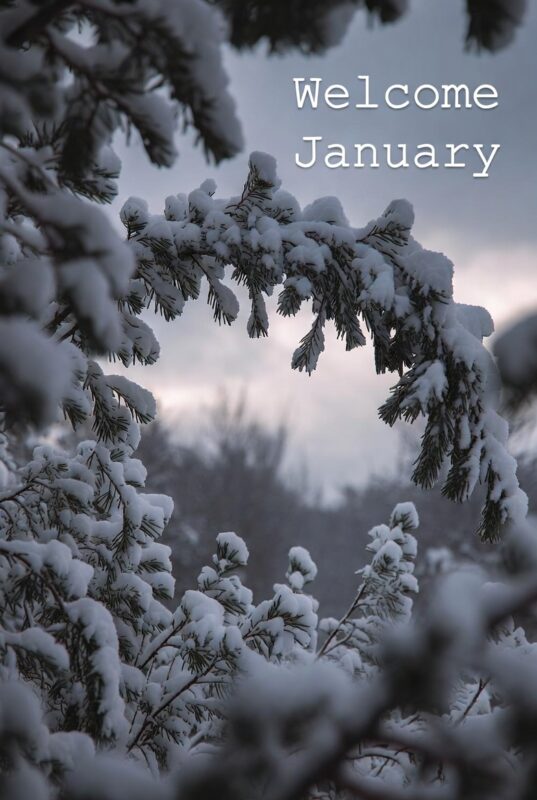 download 10 1 January images