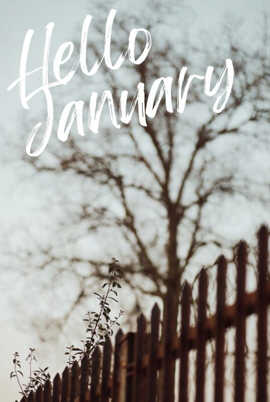 download January images
