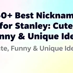 150+ Best Nicknames for Stanley Cute, Funny & Unique Ideas